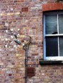 /album/backyards-and-seaside/boticky-maly-jpg/